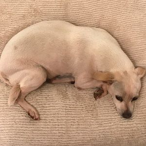 Meet your Posher, Jocelyn